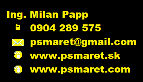 Computer School MARET